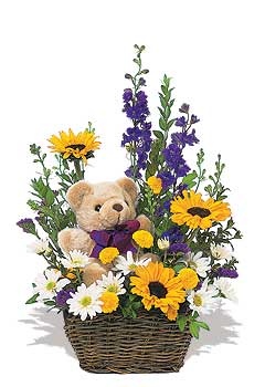 sepet kir �i�egi  pelus ayicik   G�lba�� �i�ek yolla , �i�ek g�nder , �i�ek�i  