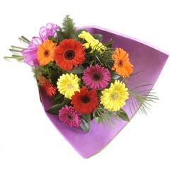 karisik gerbera buketi   Ankara G�lba�� �i�ek sipari�i vermek 