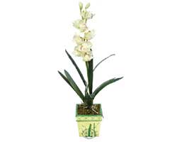 zel Yapay Orkide Beyaz   Ankara Glba iek siparii vermek 