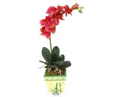 Yapay Phalonepsis Pembe   �i�ek sipari�i G�lba�� �i�ek�iler 