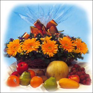 sepette gerbera ve meyvalar   G�lba�� �i�ek kaliteli taze ve ucuz �i�ekler 