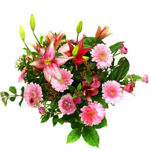 lilyum ve gerbera �i�ekleri - �i�ek se�imi -  Ankara G�lba�� 14 �ubat sevgililer g�n� �i�ek 
