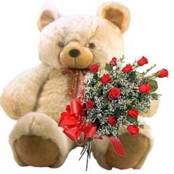 kocaman ayicik ve 10 g�l   G�lba�� �i�ek online �i�ek sipari�i 