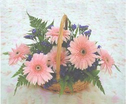 gerbera �i�eklerinde sepet   Ankara G�lba�� �i�ek�i uluslararas� �i�ek g�nderme 