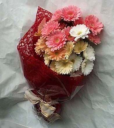 19 adet karisik gerbera buketi  G�lba�� Ankara �i�ek yolla 