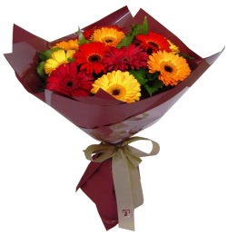  G�lba�� �i�ek sipari�i yurti�i ve yurtd��� �i�ek sipari�i  13 ADET KARISIK GERBERA BUKETI