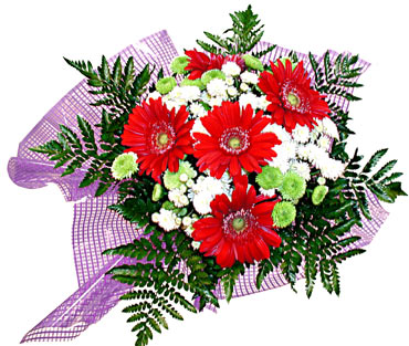 gerbera ve krizantem demeti  G�lba�� �i�ek kaliteli taze ve ucuz �i�ekler 
