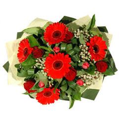  G�lba�� ankara �i�ek servisi , �i�ek�i adresleri   5 adet kirmizi g�l 5 adet gerbera demeti