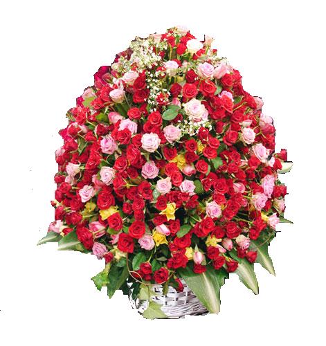  �i�ek�i G�lba�� �i�ek�i ma�azas�  365 g�n 365 g�ne �zel g�l sepeti