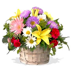sepette karisik kir �i�ekleri  G�lba�� �i�ek�i g�venli kaliteli h�zl� �i�ek  g�rsel sepet 