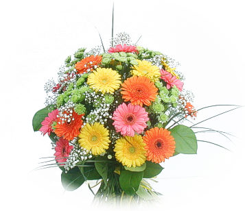 13 adet gerbera �i�egi buketi  G�lba�� ankara �i�ek g�nderme sitemiz g�venlidir 