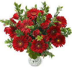5 adet kirmizi g�l 5 adet gerbera aranjmani  ankara G�lba�� �i�ek ma�azas� , �i�ek�i adresleri 