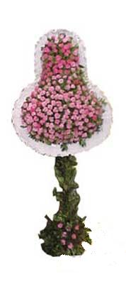  G�lba�� ankara �i�ek servisi , �i�ek�i adresleri  d�g�n a�ilis �i�ekleri  G�lba�� �i�ek yolla , �i�ek g�nder , �i�ek�i  