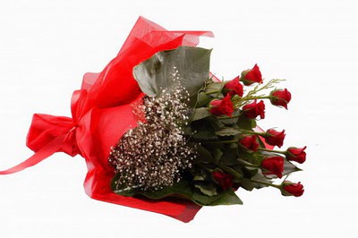  G�lba�� �i�ek�i g�venli kaliteli h�zl� �i�ek  11 adet kirmizi g�l buketi �i�ek�i