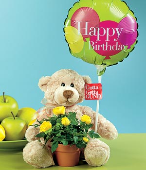  G�lba�� �i�ek kaliteli taze ve ucuz �i�ekler  Ayicik balon ve saksida sari g�ller