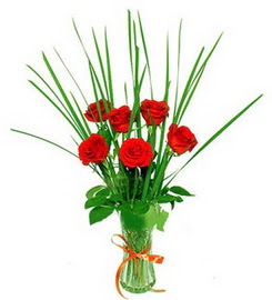  G�lba�� �i�ek online �i�ek sipari�i  6 adet k�rm�z� g�llerden vazo �i�e�i