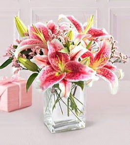 2 dal kazablanka g�rsel vazosu  G�lba�� �i�ek�i g�venli kaliteli h�zl� �i�ek 