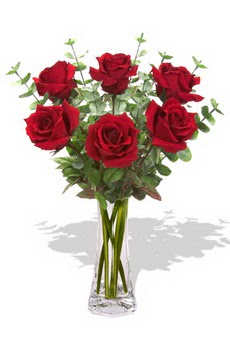  G�lba�� �i�ek kaliteli taze ve ucuz �i�ekler  6 k�rm�z� g�l vazosu