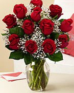 Sevgilime hediye 9 adet 1.ci kalite g�l  G�lba��na �i�ek , �i�ek�i , �i�ek�ilik 