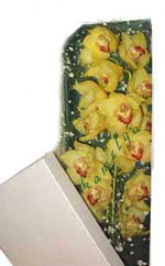  Ankara G�lba�� 14 �ubat sevgililer g�n� �i�ek  Kutu i�erisine dal cymbidium orkide
