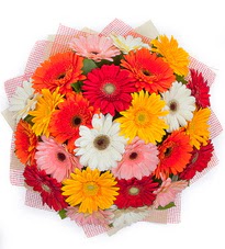 15 adet renkli gerbera buketi  Ankara Gölbaşı internetten çiçek siparişi 
