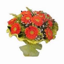  Ankara G�lba�� �i�ek�i uluslararas� �i�ek g�nderme  11 adet se�me gerbera �i�egi