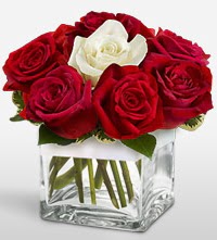Tek a�k�ms�n �i�e�i 8 k�rm�z� 1 beyaz g�l  G�lba�� �i�ek�i telefonlar� 