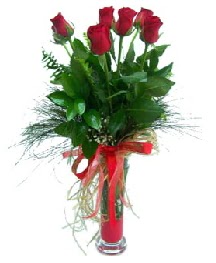 vazo i�erisinde 5 k�rm�z� g�l  �i�ek sipari�i G�lba�� �i�ek�iler 