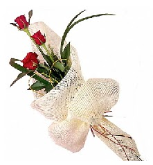 3 adet k�rm�z� g�l buketi  �i�ek sipari�i G�lba�� �i�ek�iler 