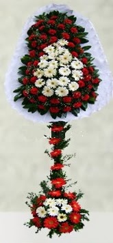  G�lba�� �i�ek sipari�i yurti�i ve yurtd��� �i�ek sipari�i  �ift katl� d���n a��l�� �i�e�i