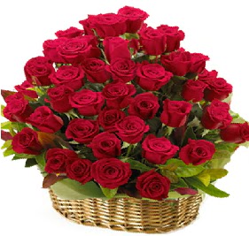 41 adet k�rm�z� g�l sepet i�erisinde  Ankara G�lba�� hediye �i�ek yolla 
