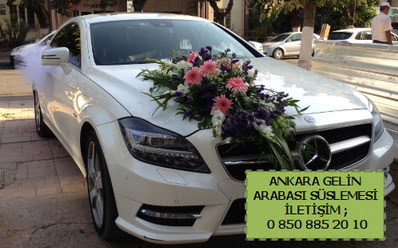Ankara gelin araba s�s� s�slemesi  G�lba�� �i�ek�iler  �i�ek sipari�i sitesi 