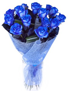 12 adet mavi g�l buketi  �i�ek�i G�lba�� �i�ek�i ma�azas� 
