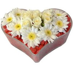 Kalp i�erisinde 7 beyaz g�l ve papatyalar  G�lba�� �i�ek sipari�i yurti�i ve yurtd��� �i�ek sipari�i 