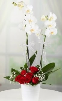 2 dall beyaz orkide 7 adet krmz gl  Ankara Glbandaki iekiler ankara iek sat 