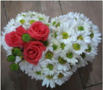 3 adet k�rm�z� g�l mika kalptte papatyalar  G�lba�� �i�ek sipari�i yurti�i ve yurtd��� �i�ek sipari�i 