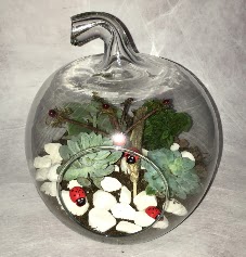 K���k terrarium elma 3 kakt�s  G�lba�� �i�ek�iler  �i�ek sipari�i sitesi 
