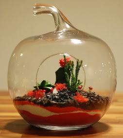 Elma Terrarium 3 kakt�s orta boy  Ankara G�lba��ndaki �i�ek�iler ankara �i�ek sat��� 