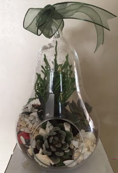 Orta boy armut terrarium 3 kakt�s  �i�ek sipari�i G�lba�� �i�ek�iler 