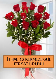  �thal k�rm�z� 12 adet kaliteli g�l  G�lba�� ankara �i�ek servisi , �i�ek�i adresleri 