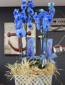 4 dall zel mavi orkide  Ankara ieki Glba nternetten iek siparii 