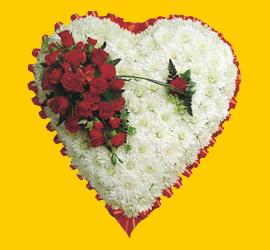  Ankara �i�ek�iler G�lba�� online �i�ek g�nderme sipari�  1.20m x 1.20m  Gerbera G�ller