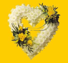  G�lba�� anneler g�n� �i�ek yolla  1.20m x 1m  Gerbera - G�ller