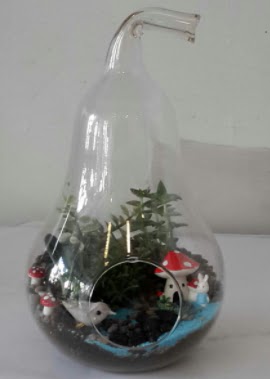 Armut orta boy cam terrarium  Ankaradaki �i�ek�iler G�lba�� cicek , cicekci 