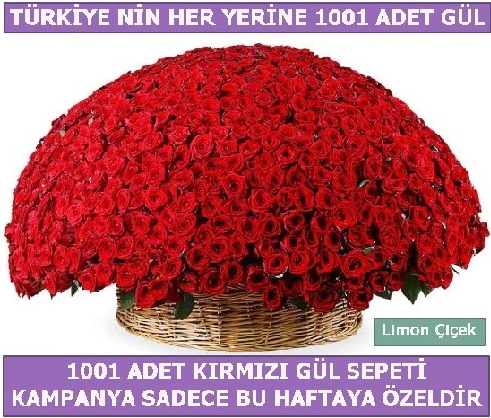 1001 Adet k�rm�z� g�l Bu haftaya �zel  Ankaradaki �i�ek�iler G�lba�� cicek , cicekci 