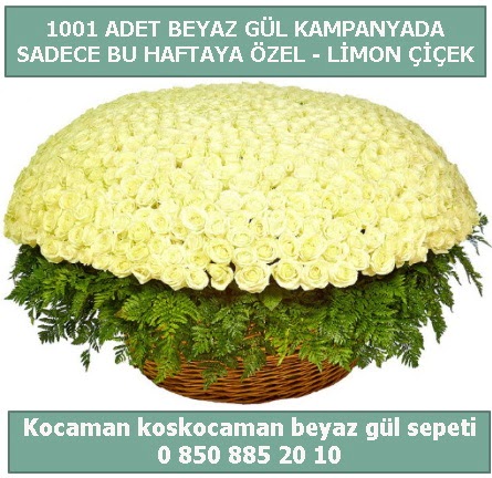 1001 adet beyaz g�l sepeti �zel kampanyada  G�lba�� �i�ek g�nder cicekciler , cicek siparisi 
