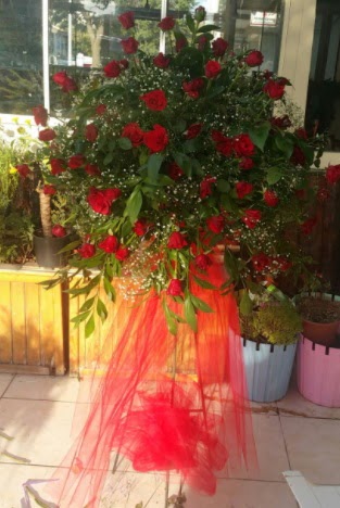 71 adet k�rm�z� g�lden ferf�rje �i�e�i  Ankara G�lba�� hediye sevgilime hediye �i�ek 
