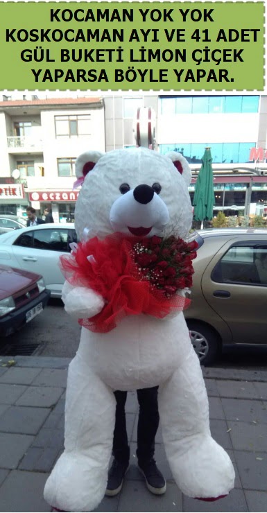 Koskocaman beyaz ay� ve 25 adet g�l  G�lba�� �i�ek�i g�venli kaliteli h�zl� �i�ek 