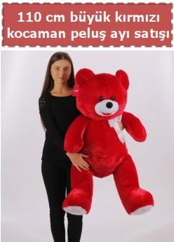 110 cm b�y�k k�rm�z� kocaman pelu� ay�  Ankara G�lba�� 14 �ubat sevgililer g�n� �i�ek 