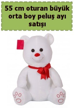 55 cm beyaz orta boy oturan pelu� ay�  Ankara G�lba�� 14 �ubat sevgililer g�n� �i�ek 